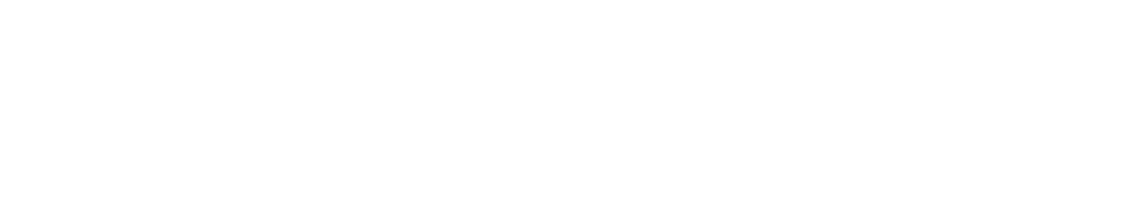 Ludo Porto